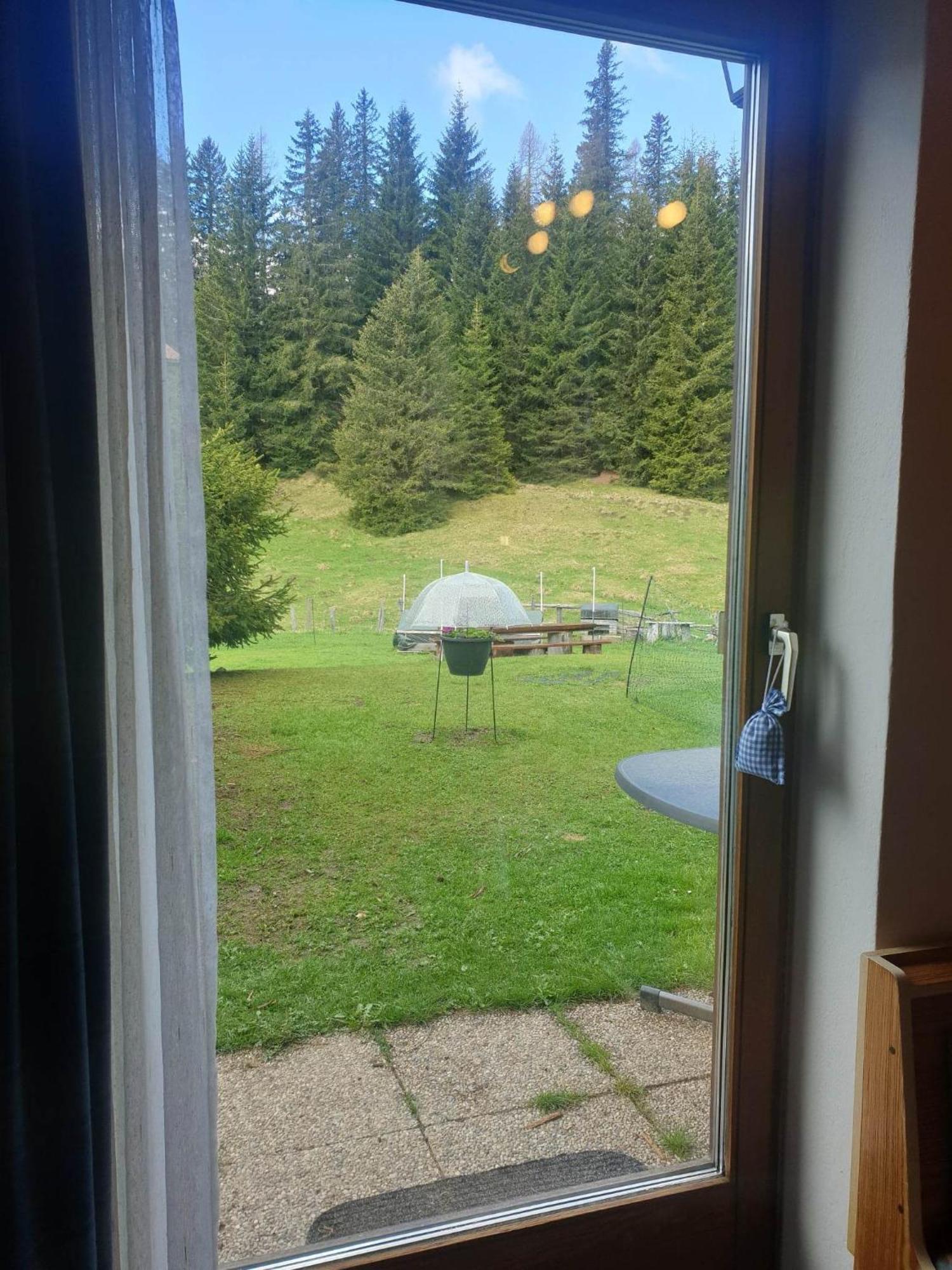Ferienhaus Schaefer - Apartments - Wintersports - Family Holiday - Holiday With Your Dog - Rural & Scenic Flattnitz المظهر الخارجي الصورة