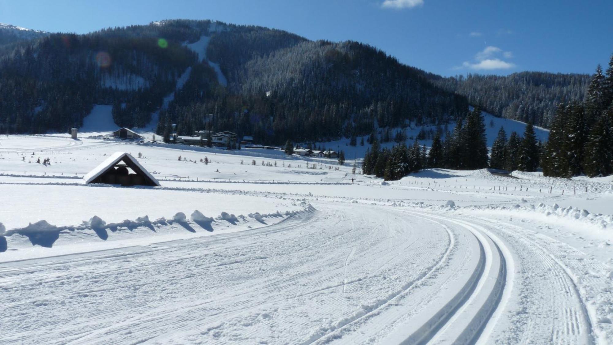 Ferienhaus Schaefer - Apartments - Wintersports - Family Holiday - Holiday With Your Dog - Rural & Scenic Flattnitz المظهر الخارجي الصورة