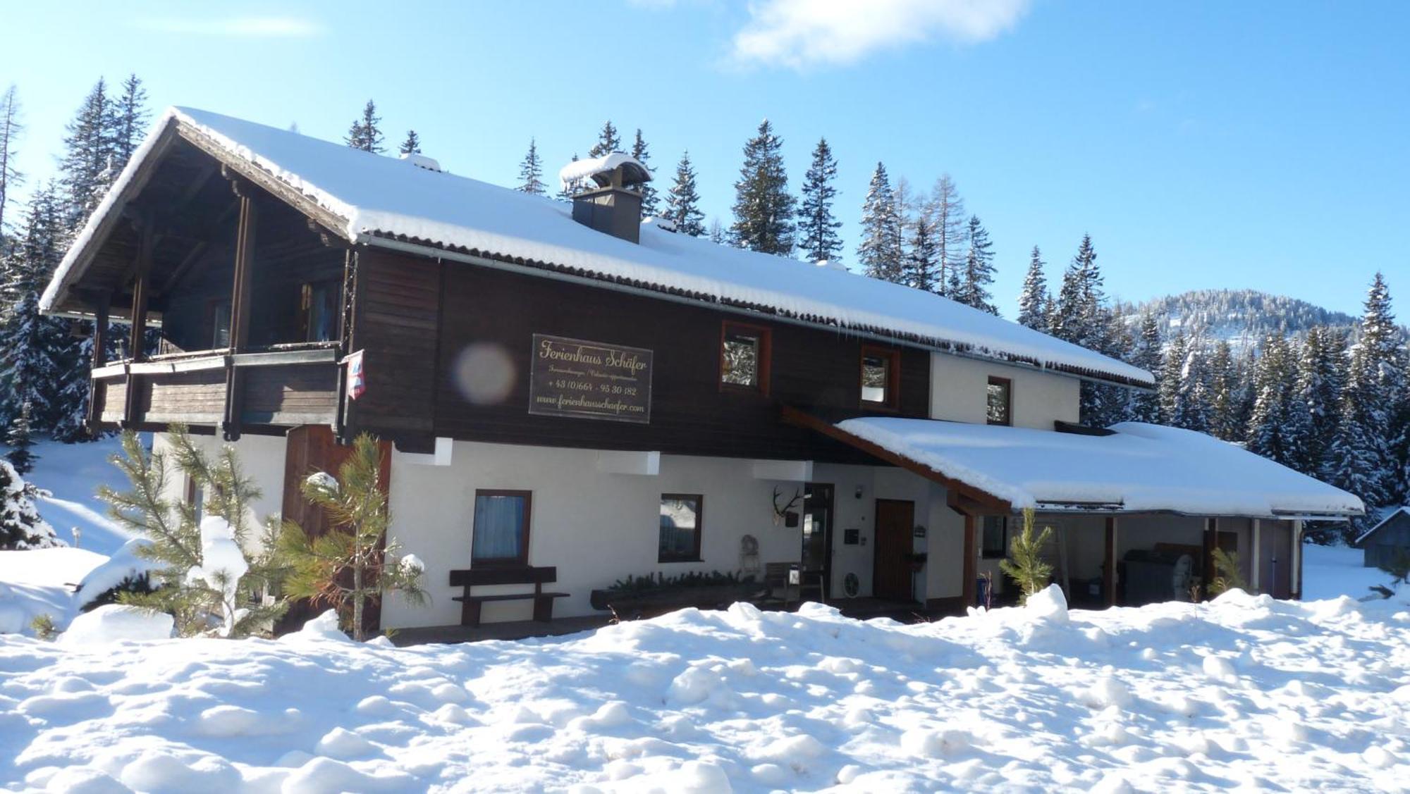 Ferienhaus Schaefer - Apartments - Wintersports - Family Holiday - Holiday With Your Dog - Rural & Scenic Flattnitz المظهر الخارجي الصورة