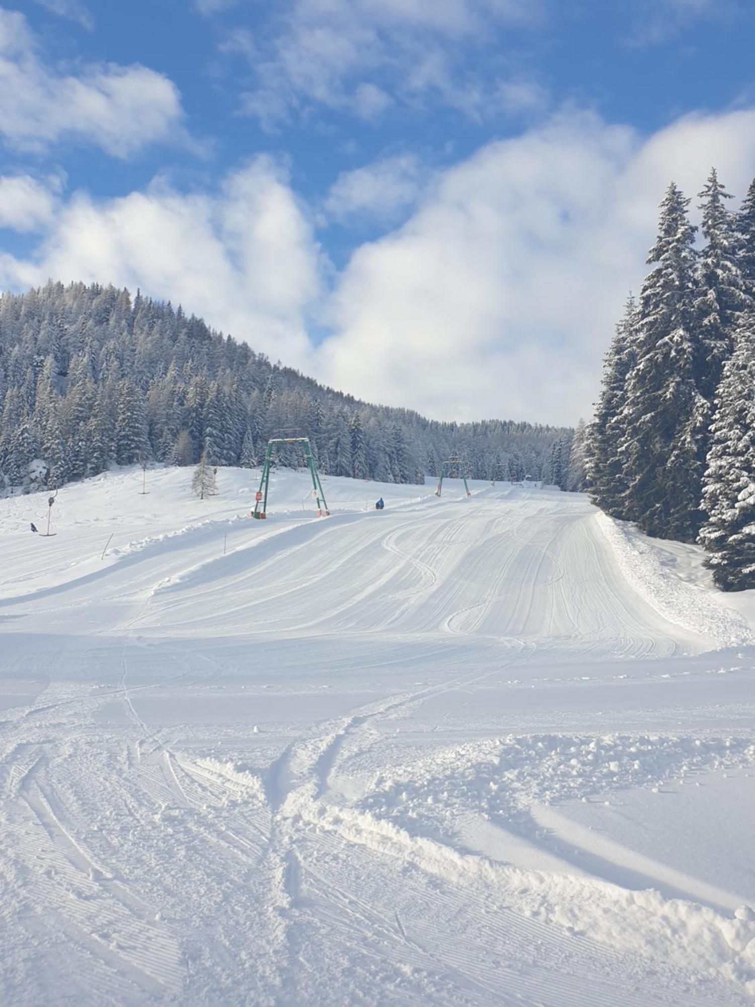 Ferienhaus Schaefer - Apartments - Wintersports - Family Holiday - Holiday With Your Dog - Rural & Scenic Flattnitz المظهر الخارجي الصورة