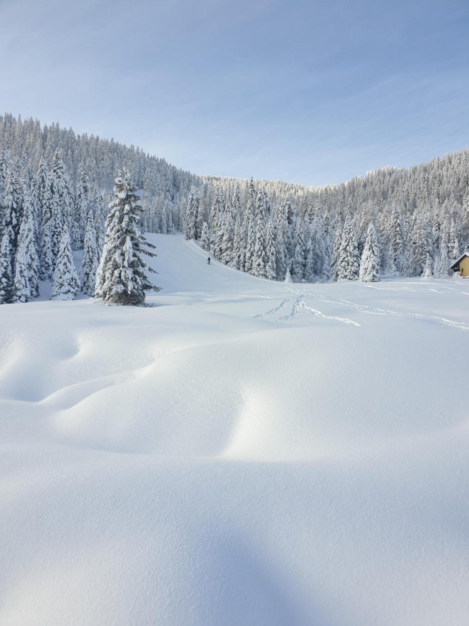 Ferienhaus Schaefer - Apartments - Wintersports - Family Holiday - Holiday With Your Dog - Rural & Scenic Flattnitz المظهر الخارجي الصورة
