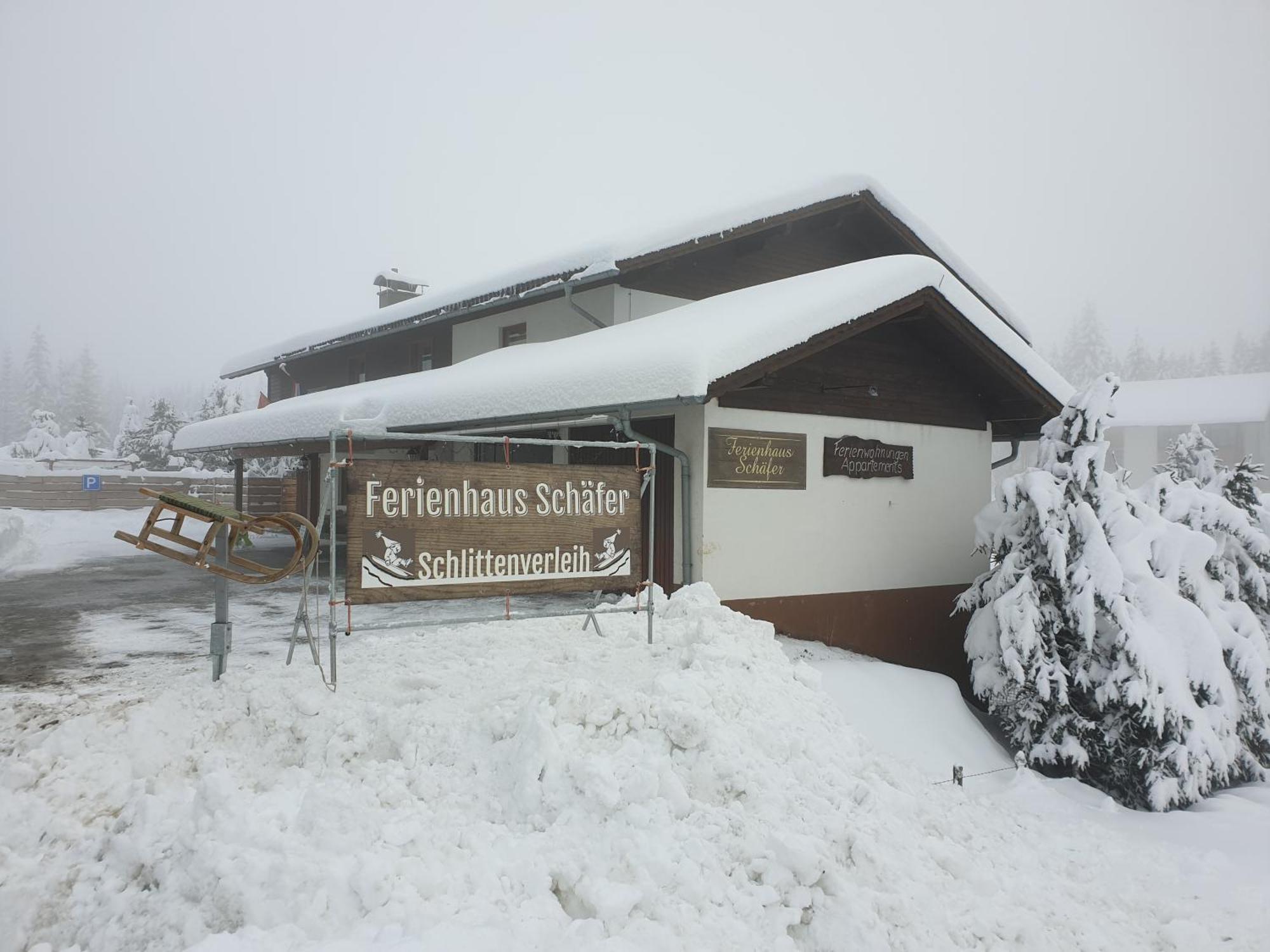 Ferienhaus Schaefer - Apartments - Wintersports - Family Holiday - Holiday With Your Dog - Rural & Scenic Flattnitz المظهر الخارجي الصورة