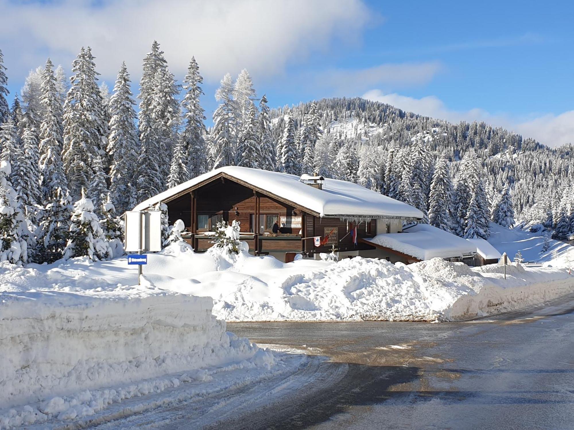 Ferienhaus Schaefer - Apartments - Wintersports - Family Holiday - Holiday With Your Dog - Rural & Scenic Flattnitz المظهر الخارجي الصورة