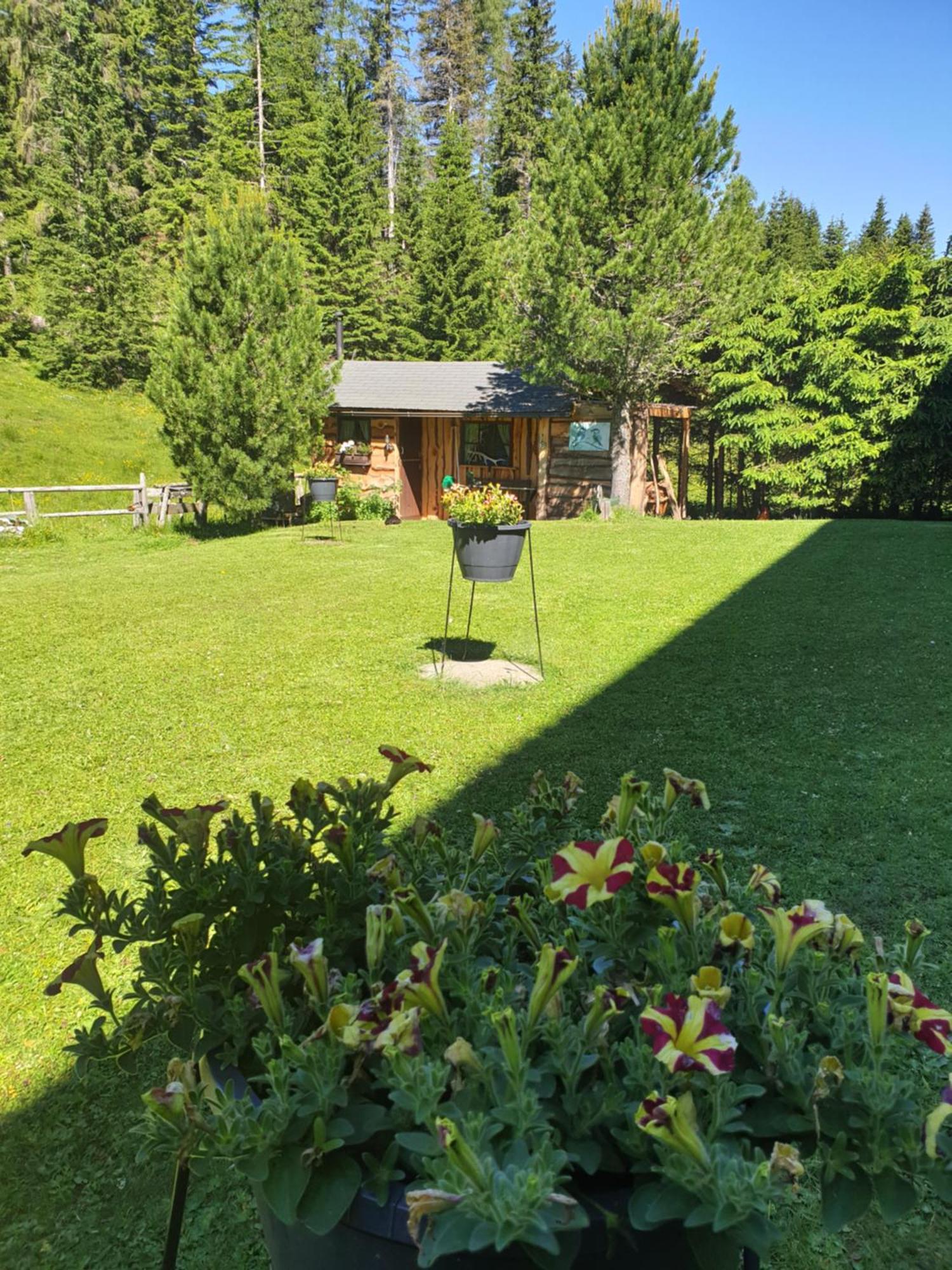 Ferienhaus Schaefer - Apartments - Wintersports - Family Holiday - Holiday With Your Dog - Rural & Scenic Flattnitz المظهر الخارجي الصورة