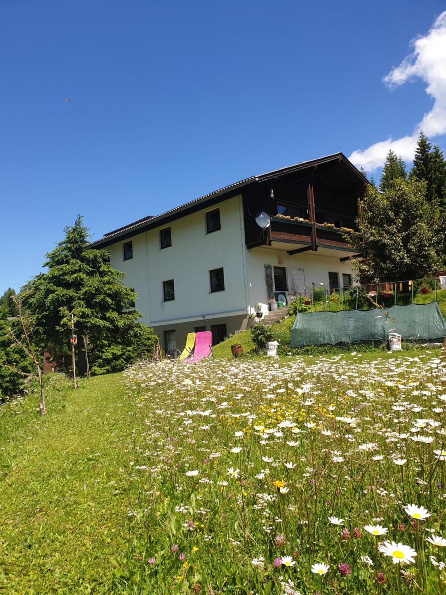Ferienhaus Schaefer - Apartments - Wintersports - Family Holiday - Holiday With Your Dog - Rural & Scenic Flattnitz المظهر الخارجي الصورة