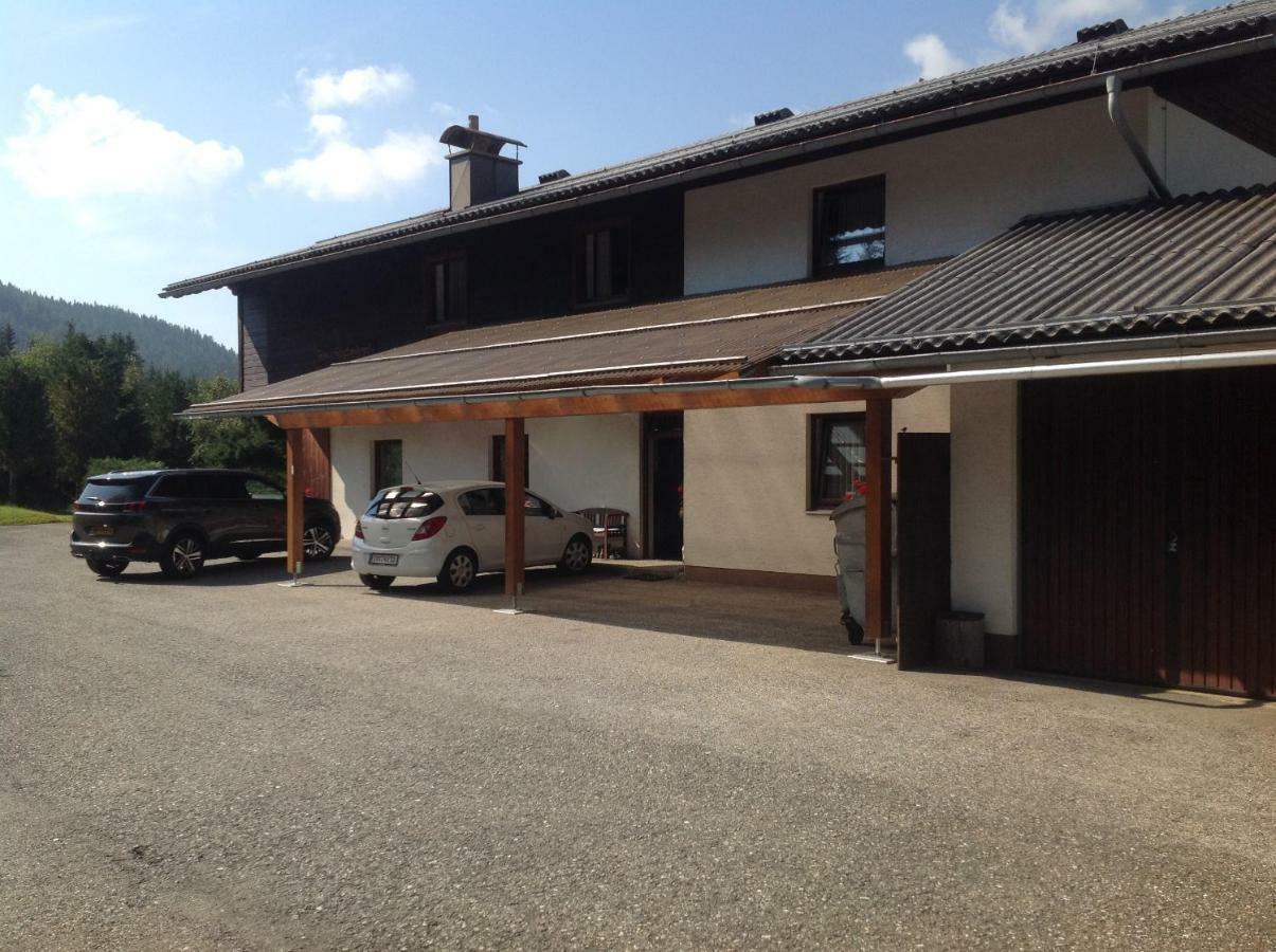 Ferienhaus Schaefer - Apartments - Wintersports - Family Holiday - Holiday With Your Dog - Rural & Scenic Flattnitz المظهر الخارجي الصورة