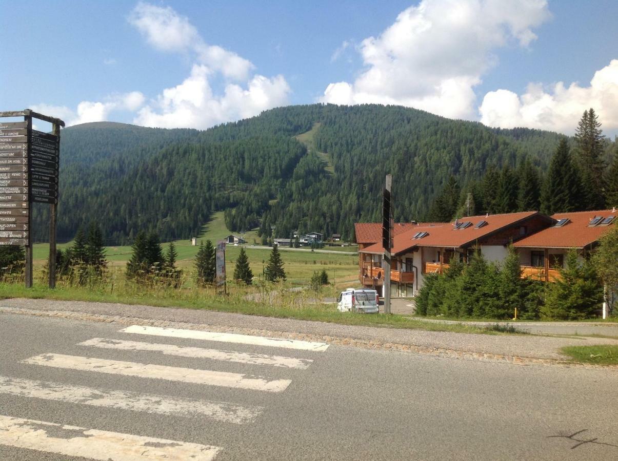 Ferienhaus Schaefer - Apartments - Wintersports - Family Holiday - Holiday With Your Dog - Rural & Scenic Flattnitz المظهر الخارجي الصورة