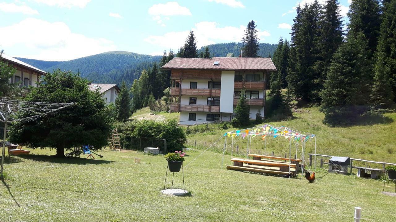Ferienhaus Schaefer - Apartments - Wintersports - Family Holiday - Holiday With Your Dog - Rural & Scenic Flattnitz المظهر الخارجي الصورة